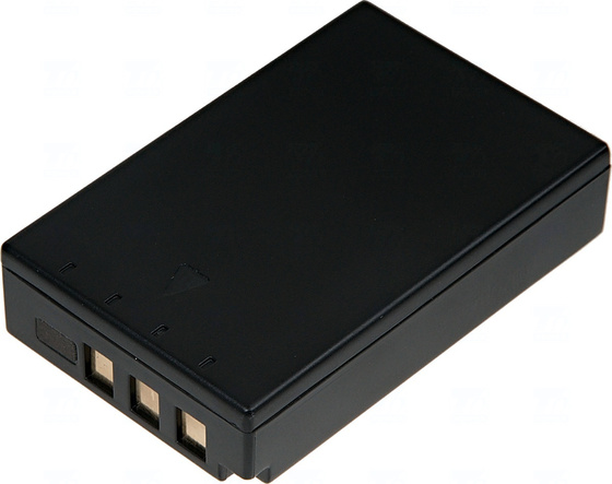 dcol0008-3.jpg