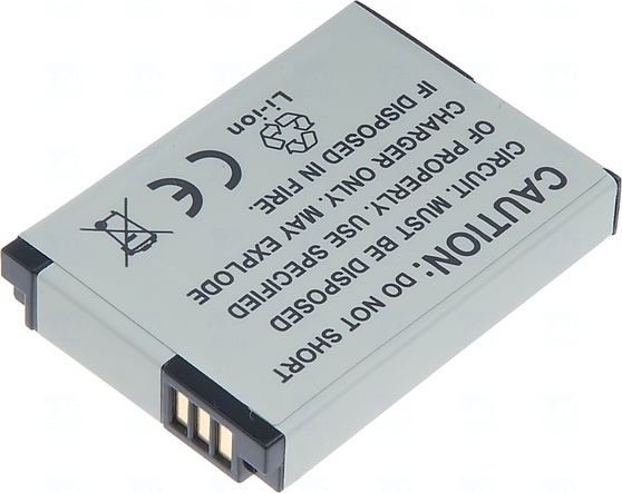 dcsa0011-3.jpg