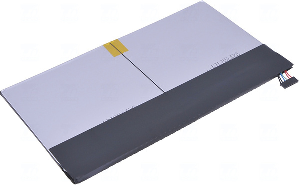 nbas0129-4.jpg