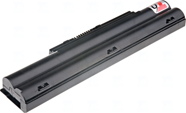 nbfs0031-2.jpg