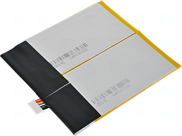 pdam0001-4.jpg