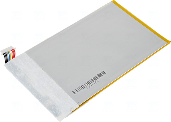 pdam0002-4.jpg