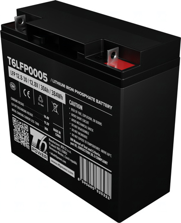 t6lfp0005.jpg