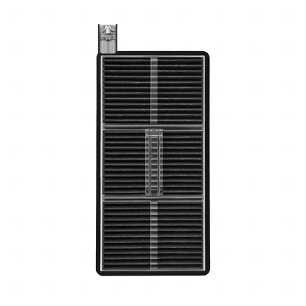ccdr0009-3.jpg